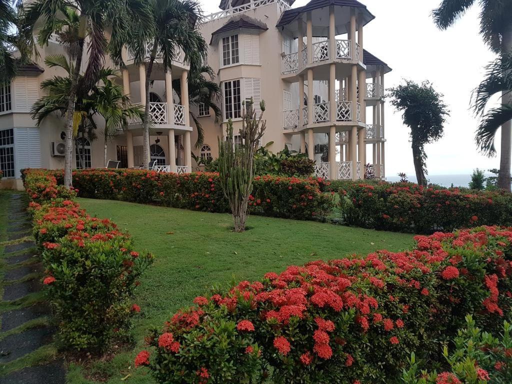 Ferienwohnung Chill On The Hill Ocho Rios Exterior foto